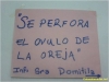 ovulo-de-la-oreja