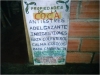 propiedades-de-la-coca