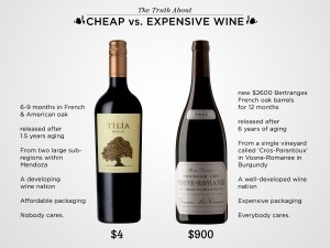 cheap-vs-expensive-wine[1]