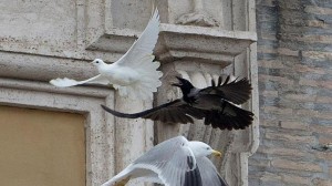 Ataque de cuervo en vaticano